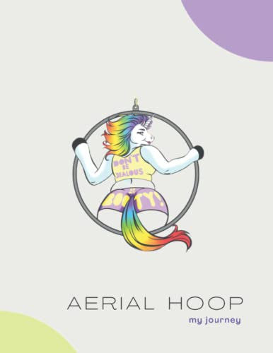 Aerial Hoop my journey notebook