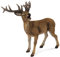 Collecta - 3388469 - Figurine - Animaux de la Forêt - Chevreuil Rouge