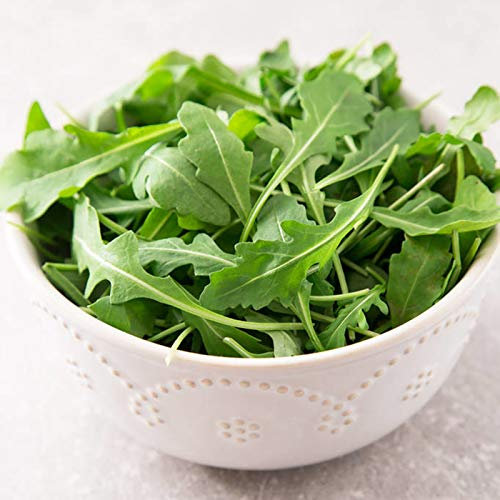 1000pcs / Sac De Graines De Roquette Graines De Légumes De Jardin à Haut Rendement, Fraîches Et Adaptables Graines de roquette
