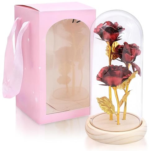 Fahibin La Bella e la Bestia rosa in cupola di vetro, regalo di compleanno per lei, fiori artificiali regalo per donne, per San Valentino, festa della mamma, anniversario di matrimonio