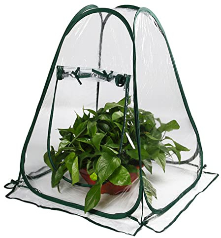 Englisch, tragbares Pop-Up-Gewächshaus, transparente Abdeckung für Pflanzenwachstum, faltbares Blumenzelt, Gartenschutz, Gewächshaus für den Hinterhof