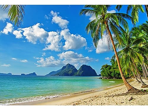 YongFoto 3x2m Vinyl Foto Hintergrund Strand Meer Küste Landschaft Blauer Himmel Weiße Wolken Palme BergFotografie Hintergrund für Fotos Fotoshooting Baby Party Banner Kinder Fotostudio Requisiten