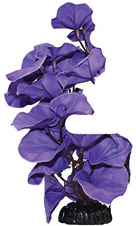 Lily Silk Like Purple Plant 20cm by KenKoi