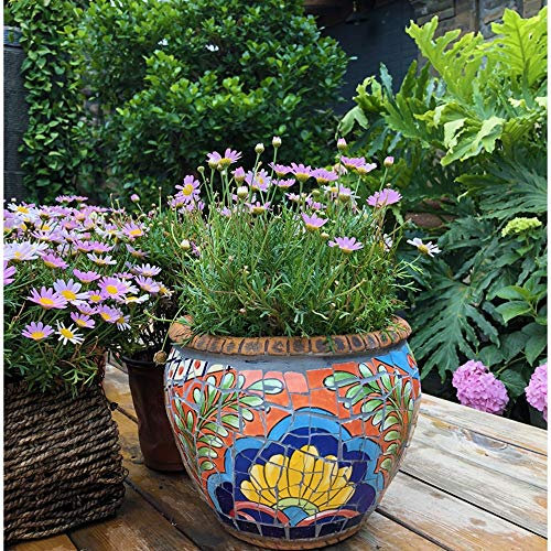 Outdoor/Indoor Color Ceramics Flower Pot Outdoor Garden Decor Plant Pot Creative Characteristic Bonsai Pot Planter Villa PatioProcess Container Planters Bonsai Pot Ceramic Flower Pot
