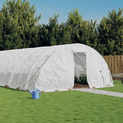 GuyAna Serre avec Cadre en Acier Blanc 30 m² 6x5x2,3 m,Carport Abri Voiture,Serre Tunnel