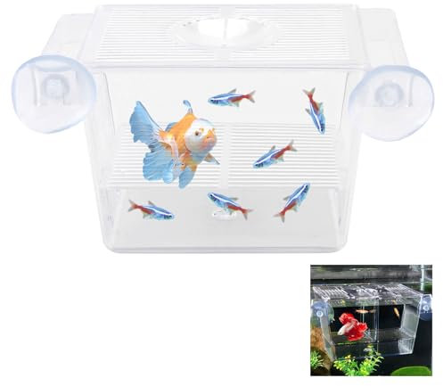 Caja de Cría de Peces de Acrílico Con Ventosas - Aislamiento para Camarones y Guppys, Incubadora para Acuarios, Aclimatación