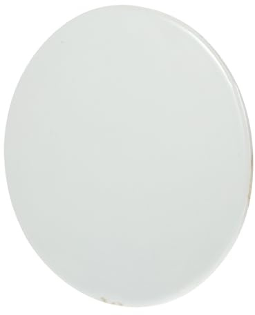 GETAJGHSD Piatto in Ceramica Grezza da Dipingere 20 CM, Leggero e Liscio, Kit Fai da Te per Progetti Artistici a Casa e Scuola per Ragazzi