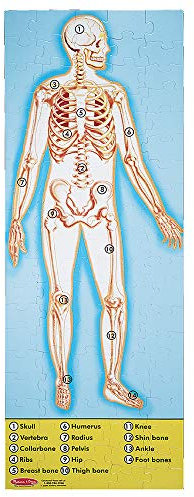 Human Body Floor (100 PC) (Floor Puzzles)