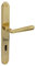 Gedotec Türdrücker-Garnitur Messing poliert glänzend | 1 Set Türgarnitur für Haustürbeschlag - BB - Buntbart | Maße (B x L x H) 33 x 255 x 8 mm | Türgriff mit Zubehör - Türbeschlag Schutzbeschlag