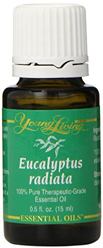 Eucalyptus Radiata Young Living Essential Oils 15 ml KOSHER Certified New by Young Living