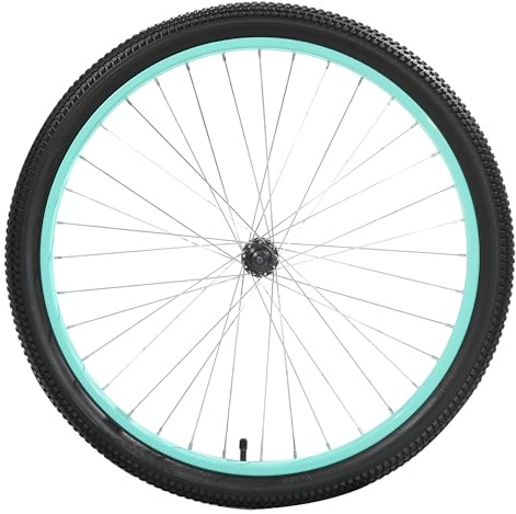 DR.Bike 24 Zoll Alufelgen Mountainbike Laufradsatz Schraubachse Kinder Mountainbike Zubehör (mintgrün, Fahrrad-Hinterrad)