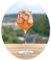 Topkapi elite Aperol Spritz Gläser 6-tlg Gläser Set Emilia - Bleifreie Kristallgläser ideal für Aperol Spritz, 480 ml, Genuss pur, Made in Germany