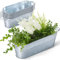 Sabary Lot de 6 Petits Pots de Fleurs ovales galvanisés avec poignée en métal galvanisé - Pot de Fleurs Rustique - Décoration d'intérieur pour fête, Mariage, événement (29 x 10 x 7 cm)