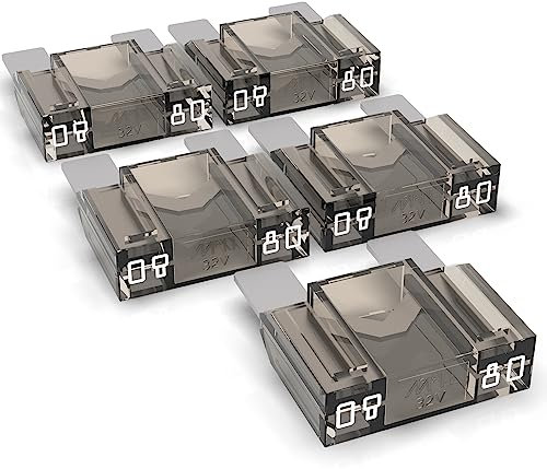 AUPROTEC Maxi Flachstecksicherung 20A - 80A Stecksicherung Schmelzsicherung Auswahl: 80A Ampere weiß, 5 Stück