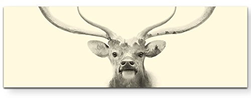 Paul Sinus Art Leinwandbilder | Bilder Leinwand 120x40cm Hirsch mit Wiese