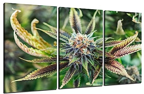 Marijuana Wall Art Cannabis Leaf Wall Decor Picture Canvas Print Green Plant Poster Painting Framed Home Living Room Bedroom Decoration Ready to Hang(54''Wx30''H)