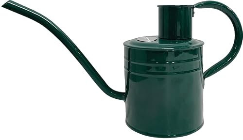 Kent & Stowe Arrosoir en Acier galvanisé 2 litres
