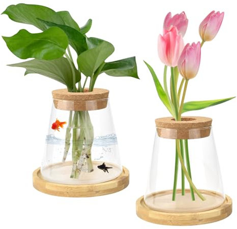 MININUSI 2 Pezzi Vaso in Vetro Trasparente,Stazioni per la Propagazione delle Piante con Tappo e Vassoio in Legno,Vasi per Fiori in Vetro Trasparente per Coltura Idroponica,Fiori,Ornamentali,330ML