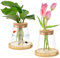 MININUSI 2 PCS Vase en Verre Transparent, Stations de Propagation de Plantes avec Bouchon et Plateau en Bois, Vases à Fleurs en Verre Clair pour Hydroponie, Fleurs, Fleurs Séchées, Ornemental (330ML)