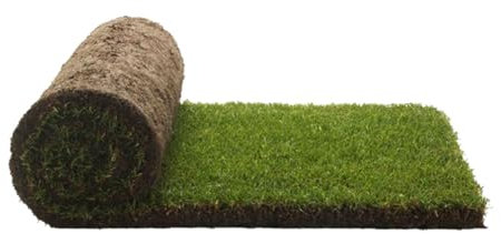 PetGround, Recharge de Gazon/Herbe 100% Naturelle pour Caisse en Bois, Tapis olfactif, pour Votre Animal de Compagnie (S)
