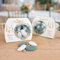 Boîtes à dragées ballotin bapteme communion mariage boule 6cm ''Renard'' personnalisée avec votre texte lot de 4