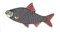 Anstecker, Metall, Emaille, Angeln Fischen Roach