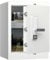 RPNB Luxus Safe und Schließfach, Biometrischer Fingerabdruck-Safe mit Touchscreen, Sprachansagen, doppelter Warnung, One-Touch-Entriegelung, Perfekt für Home Office, Hotel, Büro, 80 L, Weißer