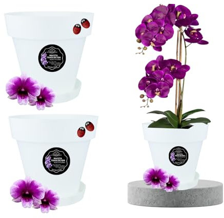 LiveLaif® - 2pcs Ø21 cm Pot Orchidée Transparent Translucide | Au Choix : Taille et Unités | Pot Transparent Orchidée (2, XL-Ø21 cm)