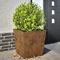 Rantry Fioriere da Giardino 2 pz 50x50x50 cm in Acciaio Corten, Fioriera da Esterno, Fioriera Grigliato per Giardino