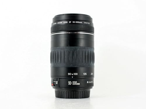 Canon EF 90-300mm f/4.0-5.6 USM Zoom Lens