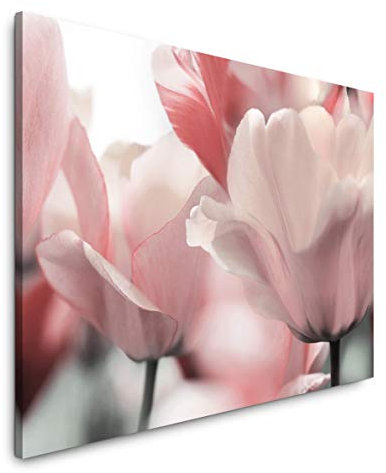 Paul Sinus Art Tulpen 120x 80cm Inspirierende Fotokunst in Museums-Qualität für Ihr Zuhause als Wandbild auf Leinwand in