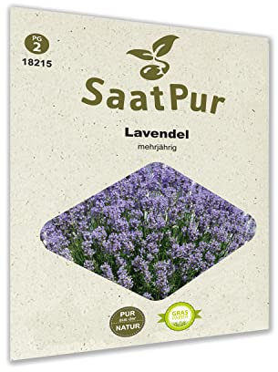 SaatPur Lavendel Samen, Saatgut für ca. 100 Pflanzen