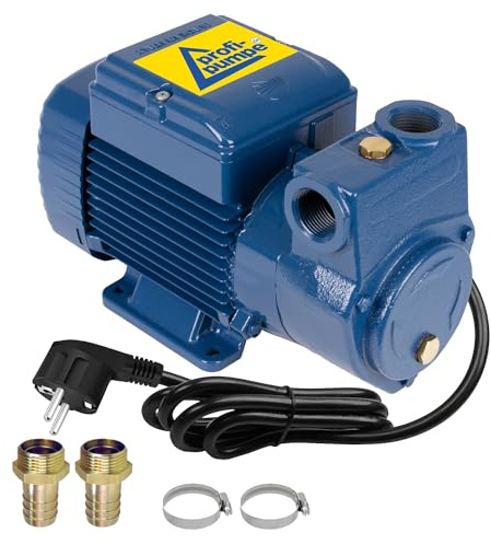 Diesel pump heating oil pump fuel pump electric drum pump oil pump fuel pump | MADE IN EU | 230V