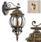 HOFSTEIN Außenwandleuchte Lentua, Wandlampe abwärts in antikem Look, Metall/Kunststoff in Braun/Gold/Klar, E27-Fassung, Retro/Vintage Außenleuchte für Terrasse, Veranda, Hof, IP44, ohne Leuchtmittel