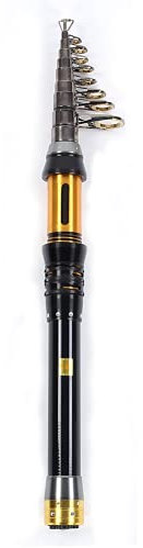 Mini Canna da Pesca in Mare Telescopica in Carbonio Canna da Pesca Telescopica con Anello Filo di Ceramica per Pesca All'Aperto(3.0m)