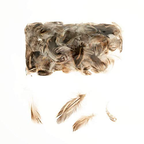 NaDeco Hühnerfedern Natur im Beutel mit 5g Hühner Federn Dekofedern Federn zum Basteln Deko Feder Bastelfedern