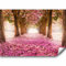 murando Fototapete selbstklebend Weg 245x175cm Foto Tapete Tapetenfolie Möbelfolie Wandverkleidung Wandtapete Motivtapeten Bildtapete Wohnzimmer 3d Effekt Modern Blumen Bäume Park Allee rosa braun