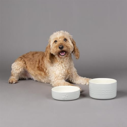 Scruffs Icon 2 Piece Dog Food & Water Bowl Set - 15cm - Light Grey