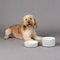 Scruffs Icon 2 Piece Dog Food & Water Bowl Set - 15cm - Light Grey