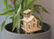 Winkee - Do it yourself Mini Blumentopfbaumhaus - La casa de árbol para construir uno mismo I Decoración ideal para flores I Casa de árbol interior para maceta I Se monta en 5 minutos