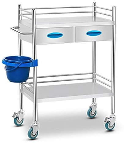 Medizinischer Laborwagen, Edelstahl 2/3-stöckiger Servierwagen mit zwei Schubladen für Labor, Spa, Schönheitssalon, Klinik, Küchenausrüstung (Farbe: 2 Schichten, Größe: 60 x 40 x 86 cm)