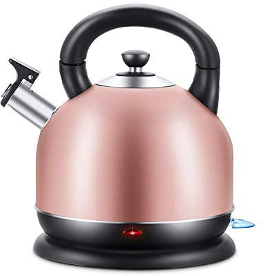 YIHANSS Bouilloire électrique Domestique en Acier Inoxydable, Bouilloire électrique 3L à Mise Hors Tension Automatique, Cadeau