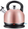 YIHANSS Bouilloire électrique Domestique en Acier Inoxydable, Bouilloire électrique 3L à Mise Hors Tension Automatique, Cadeau
