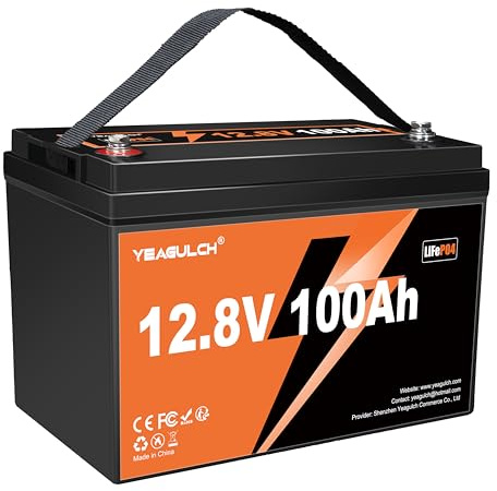 Yeagulch Batteria LiFePO4 Litio 12v 100ah con BMS 100A, Protezione Bassa Temperatura, 15000 Cicli – Ricaricabile per Camper Barca Fotovoltaico