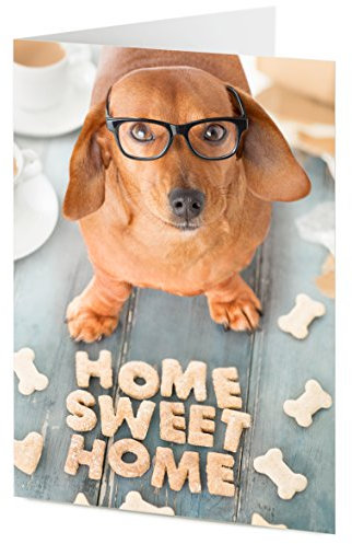Cute Dachshund sausage dog arranges doggy treats to say HOME SWEET HOME – New home moving house card