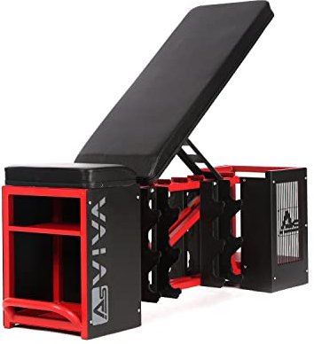 AsVIVA WB1 Hantelbank Set | Verstellbare Hantelbank | Klappbare Fitnessbank | Schrägbank mit Gewichten | 62 kg | Krafttraining & Muskelaufbau | Home Gym | Fitnessgeräte für Zuhause