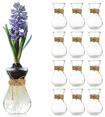 Small Glass Vases for Centerpieces - Hewory 12pcs Clear Mini Hyacinth Avocado Growing Bud Vase Bulk, Cute Tiny Flower Bulb Forcing Plant Containers Set for Wedding Home Living Room Table Decorations