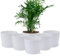 Gardrium 6 vasi da fiori in plastica, con vassoi, adatti per piantine cactus piante grasse orchidee erbe, con fori di drenaggio, 17,5 cm, colore: bianco