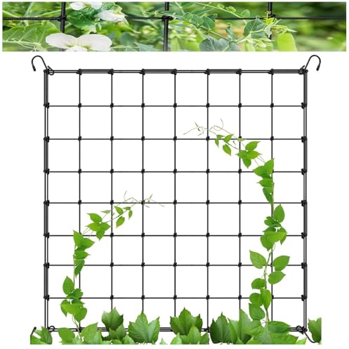 Granmagazz Rete per Piante Rampicanti, Nylon, Supporto per Piante Rampicanti, Rete Quadrata, Nero, 90 x 90 cm