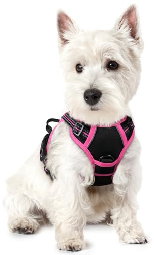 rabbitgoo Dog Harness Large Dog No Pull Pet Harness with 2 Leash Clips, Adjustable Soft Padded Pet Vest, Reflective No-Choke with Easy Control Handle for Training or Walking, Black & Rose Red, XS